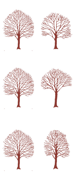 Tree Pruning